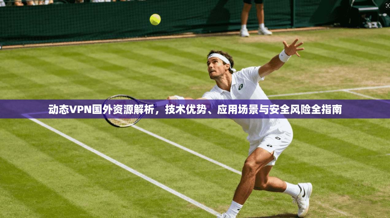 动态VPN国外资源解析，技术优势、应用场景与安全风险全指南