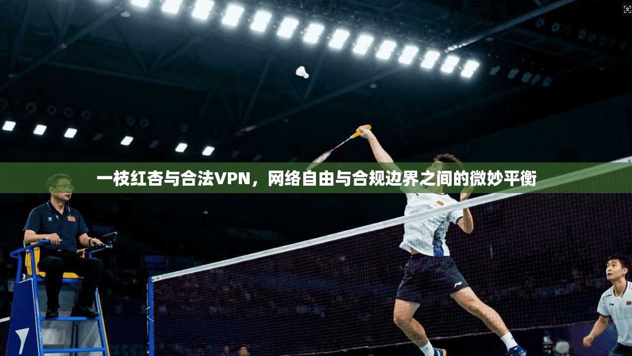 一枝红杏与合法VPN，网络自由与合规边界之间的微妙平衡