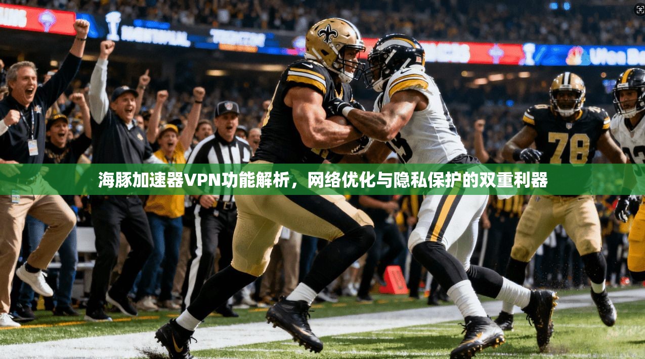 海豚加速器VPN功能解析，网络优化与隐私保护的双重利器