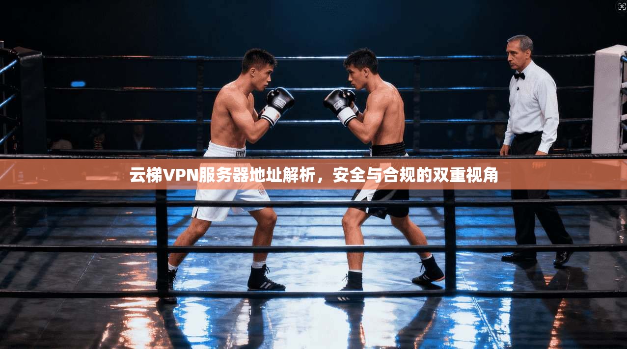 云梯VPN服务器地址解析，安全与合规的双重视角