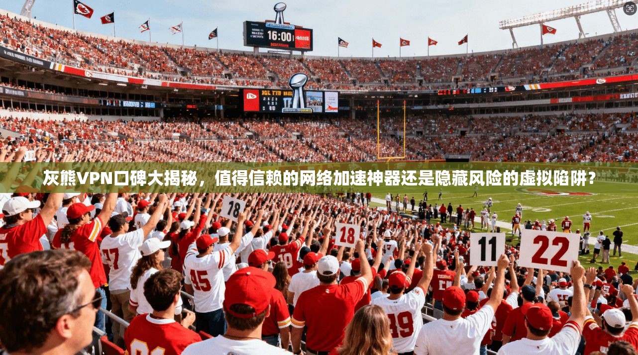 灰熊VPN口碑大揭秘，值得信赖的网络加速神器还是隐藏风险的虚拟陷阱？