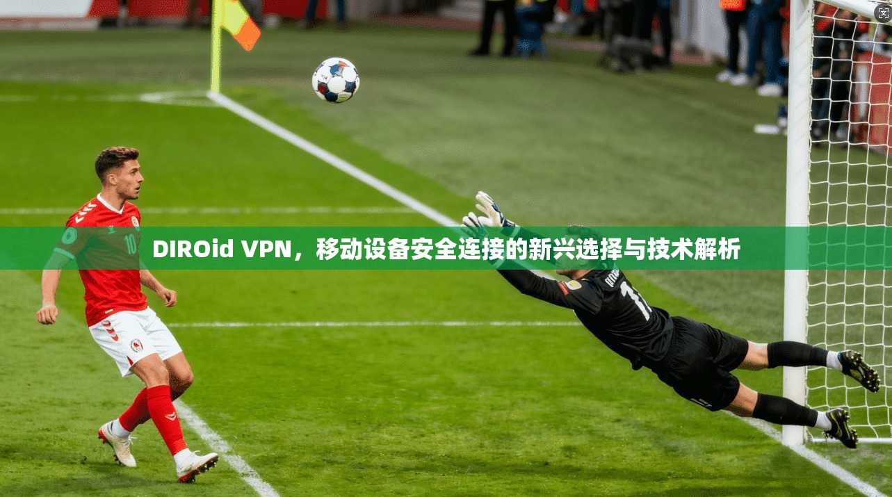 DIROid VPN，移动设备安全连接的新兴选择与技术解析