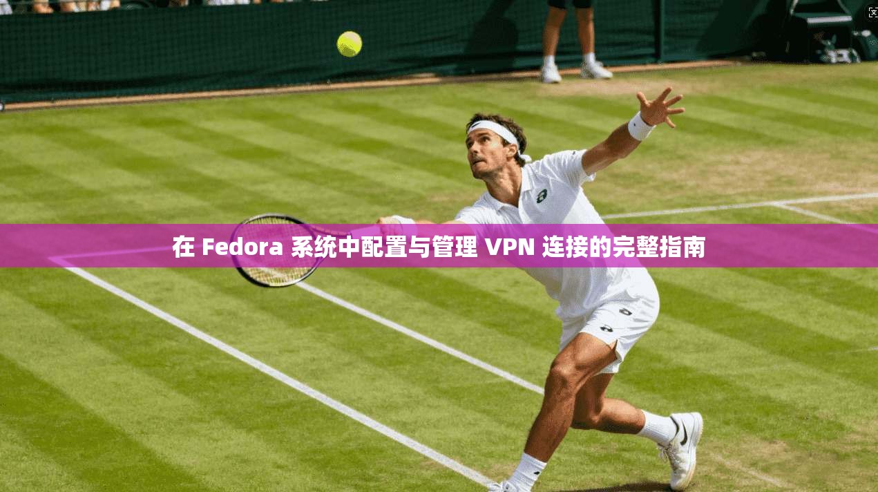 在 Fedora 系统中配置与管理 VPN 连接的完整指南