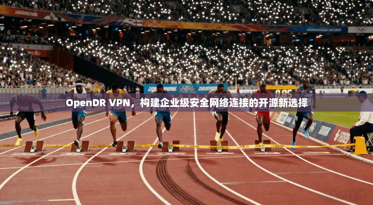 OpenDR VPN，构建企业级安全网络连接的开源新选择