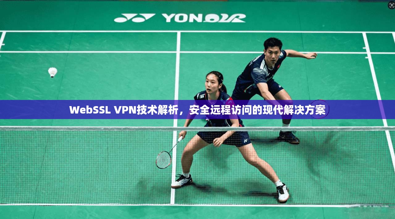 WebSSL VPN技术解析，安全远程访问的现代解决方案