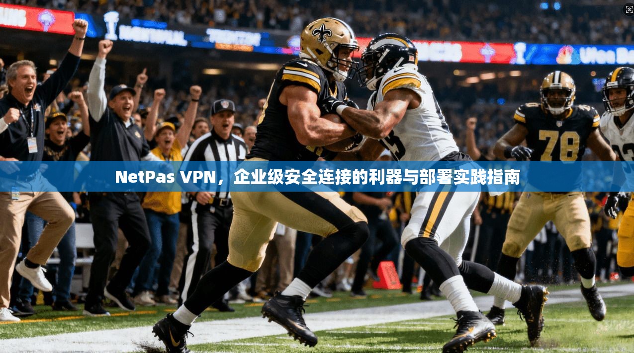 NetPas VPN，企业级安全连接的利器与部署实践指南