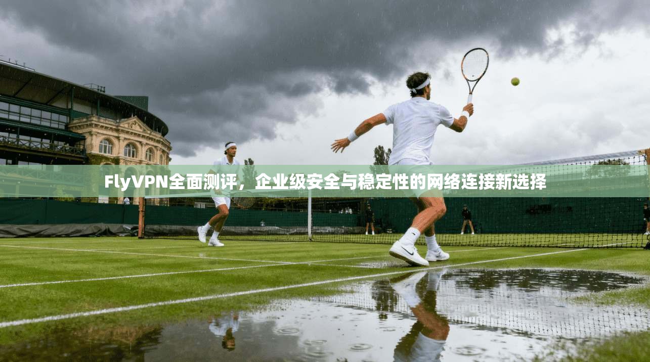 FlyVPN全面测评，企业级安全与稳定性的网络连接新选择
