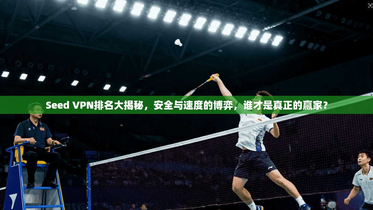 Seed VPN排名大揭秘，安全与速度的博弈，谁才是真正的赢家？