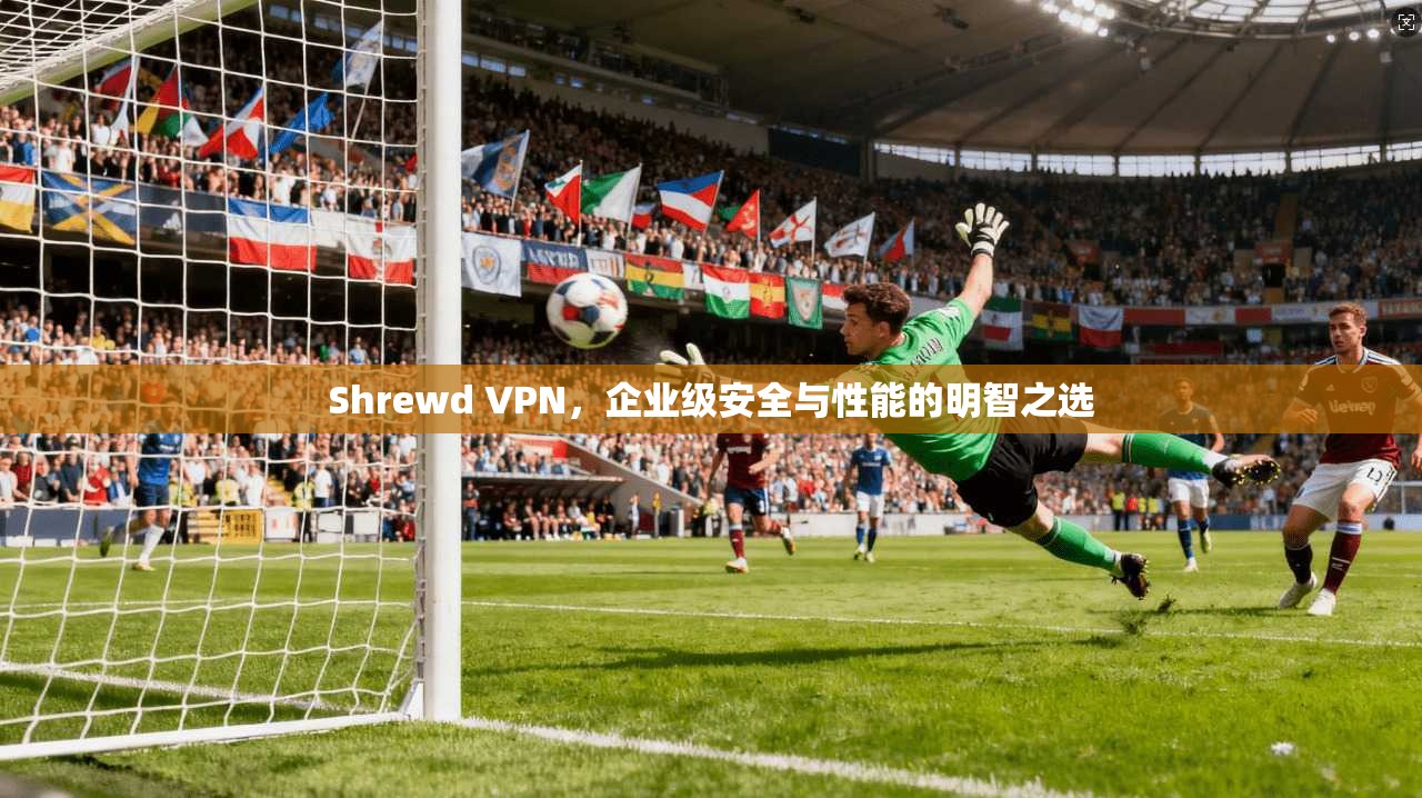 Shrewd VPN,企业级安全与性能的明智之选