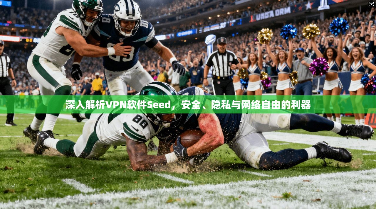深入解析VPN软件Seed，安全、隐私与网络自由的利器