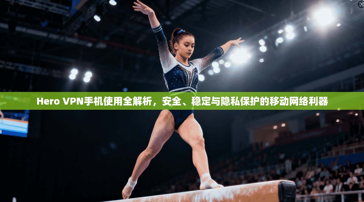 Hero VPN手机使用全解析，安全、稳定与隐私保护的移动网络利器