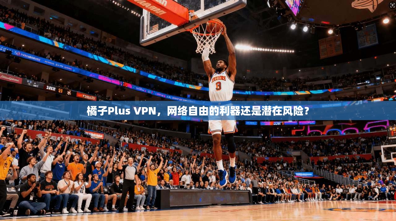 橘子Plus VPN，网络自由的利器还是潜在风险？