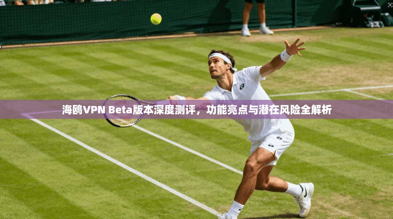 海鸥VPN Beta版本深度测评，功能亮点与潜在风险全解析