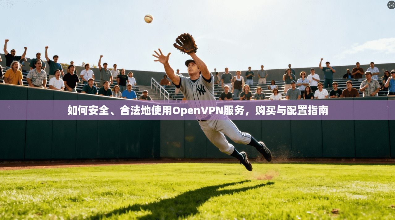 如何安全、合法地使用OpenVPN服务，购买与配置指南