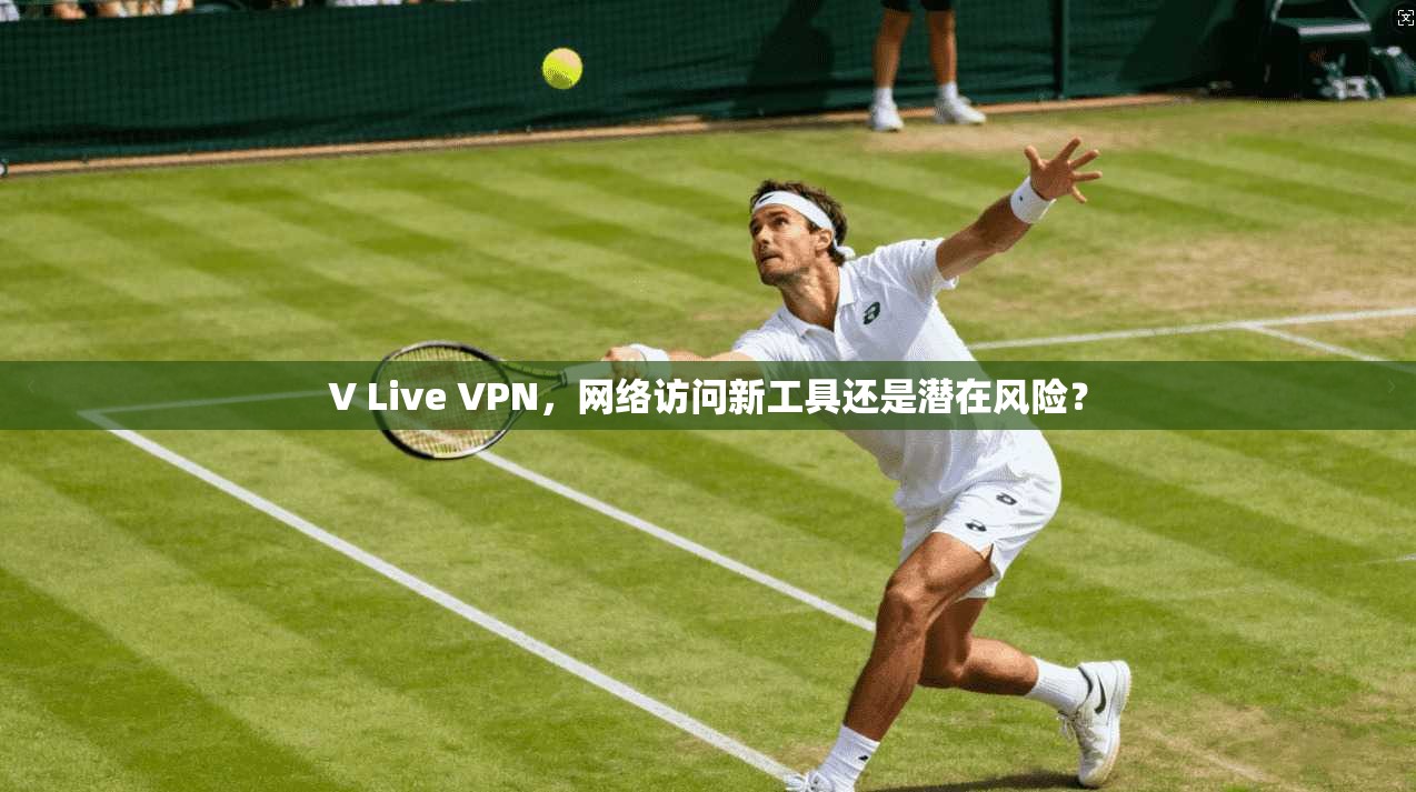 V Live VPN，网络访问新工具还是潜在风险？