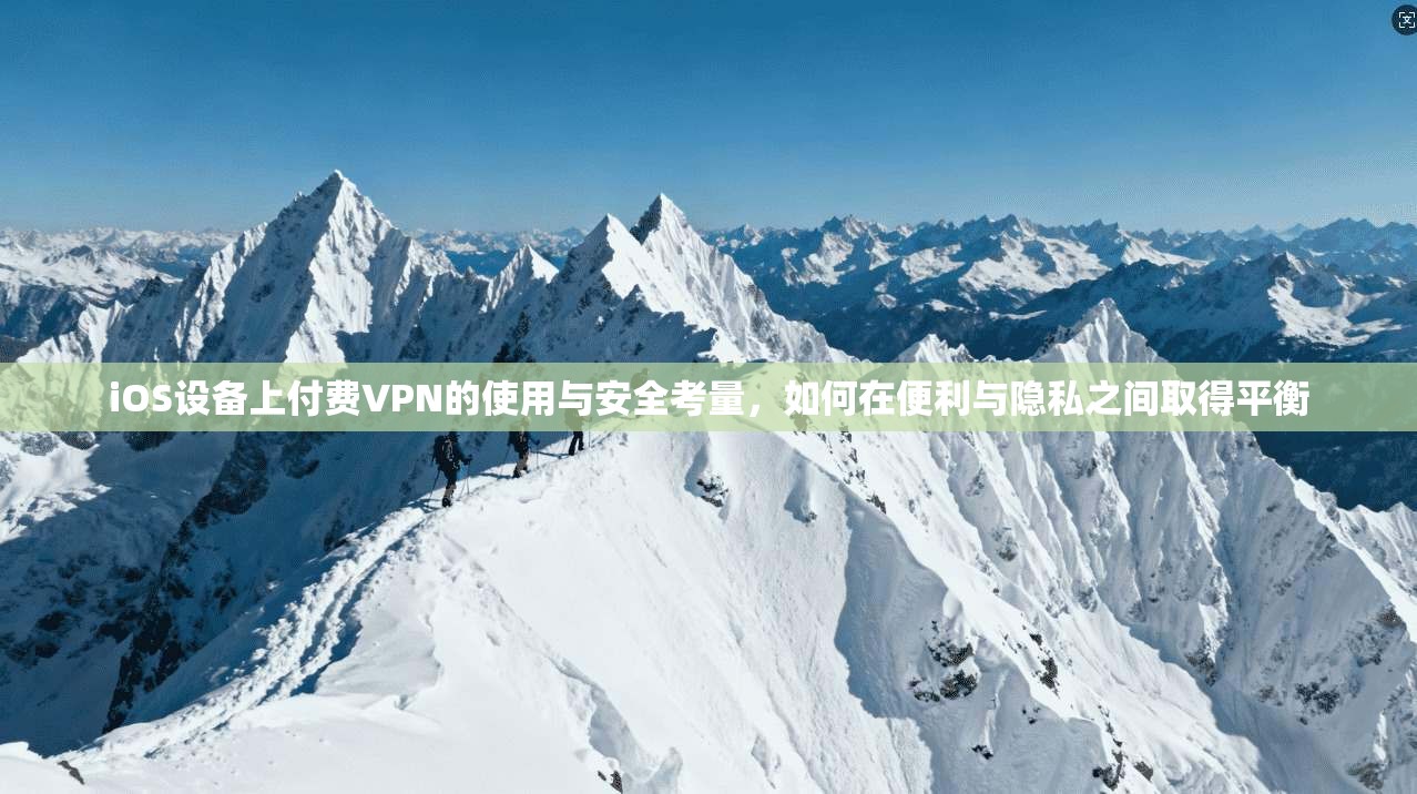 iOS设备上付费VPN的使用与安全考量，如何在便利与隐私之间取得平衡