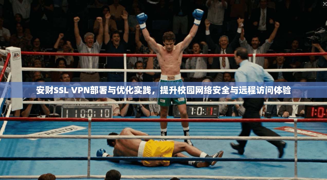 安财SSL VPN部署与优化实践，提升校园网络安全与远程访问体验