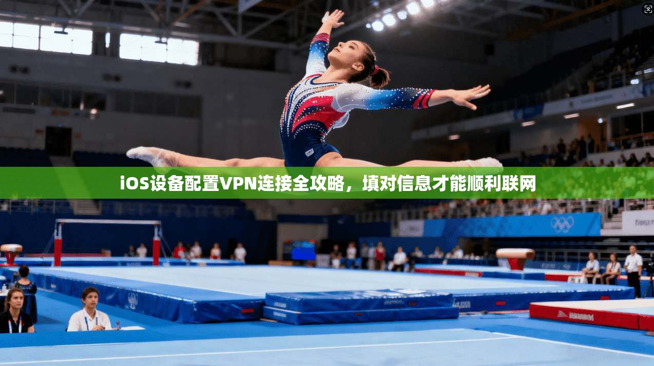 iOS设备配置VPN连接全攻略,填对信息才能顺利联网