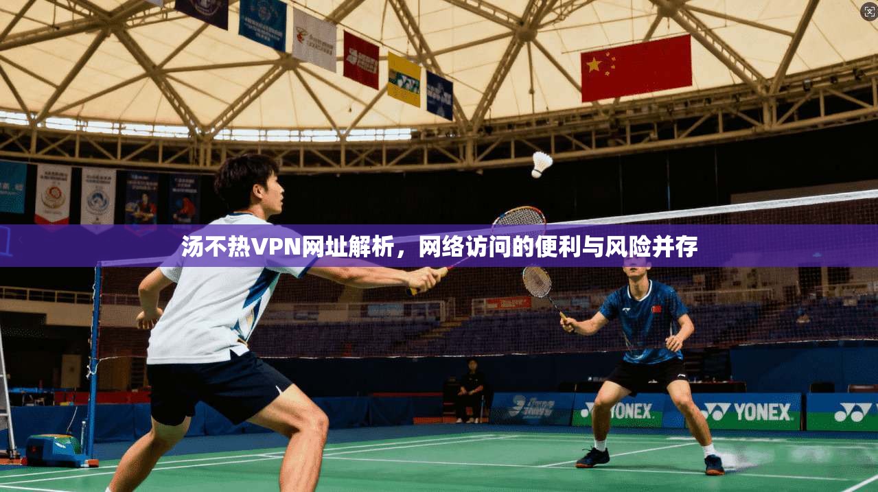 汤不热VPN网址解析，网络访问的便利与风险并存