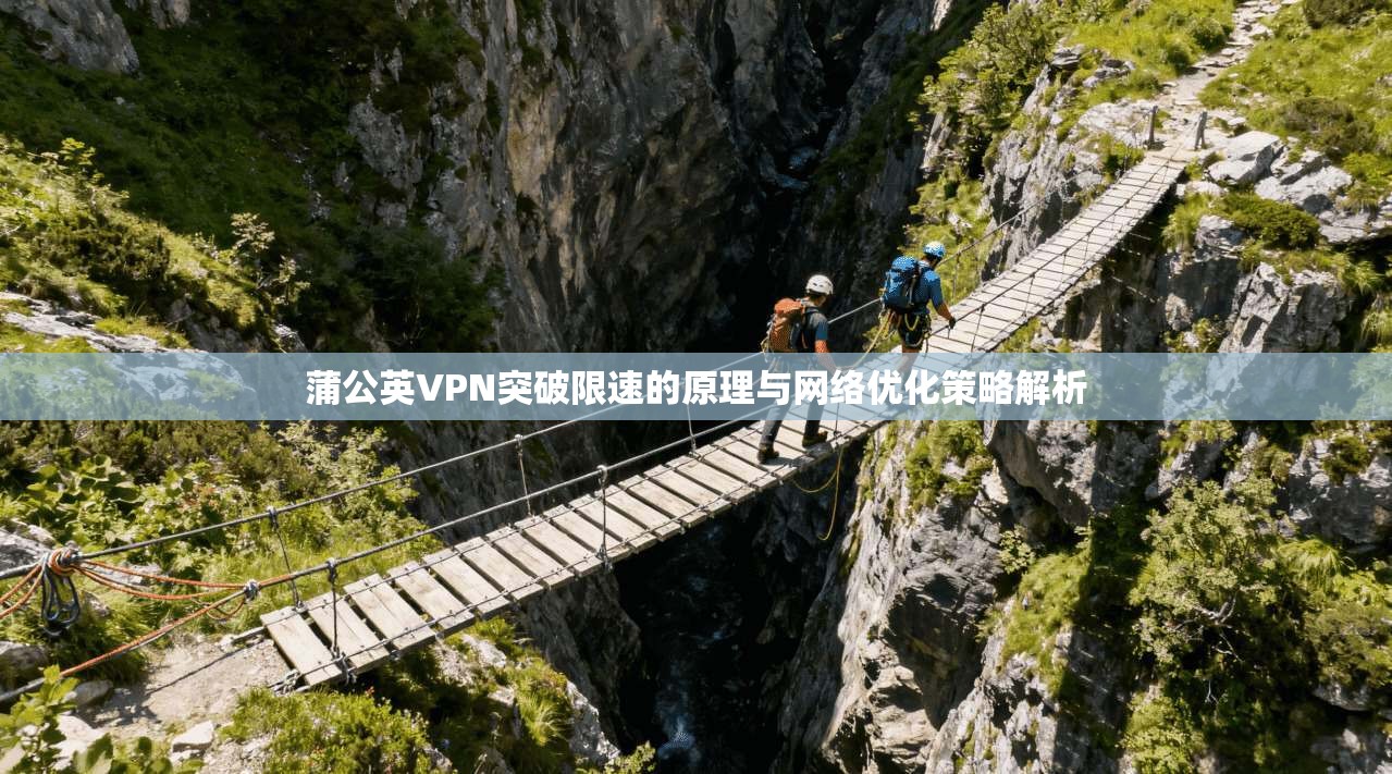 蒲公英VPN突破限速的原理与网络优化策略解析