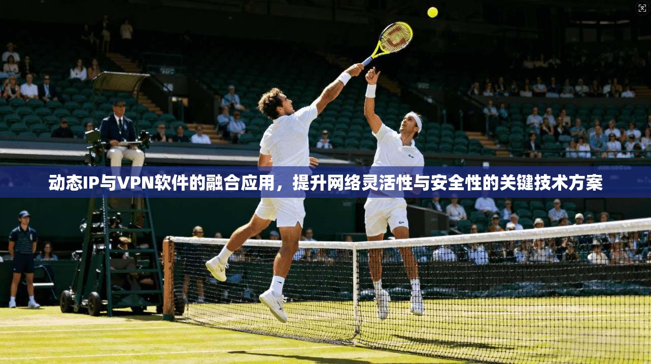 动态IP与VPN软件的融合应用，提升网络灵活性与安全性的关键技术方案