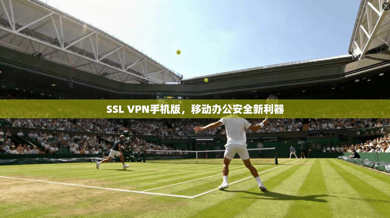 SSL VPN手机版，移动办公安全新利器