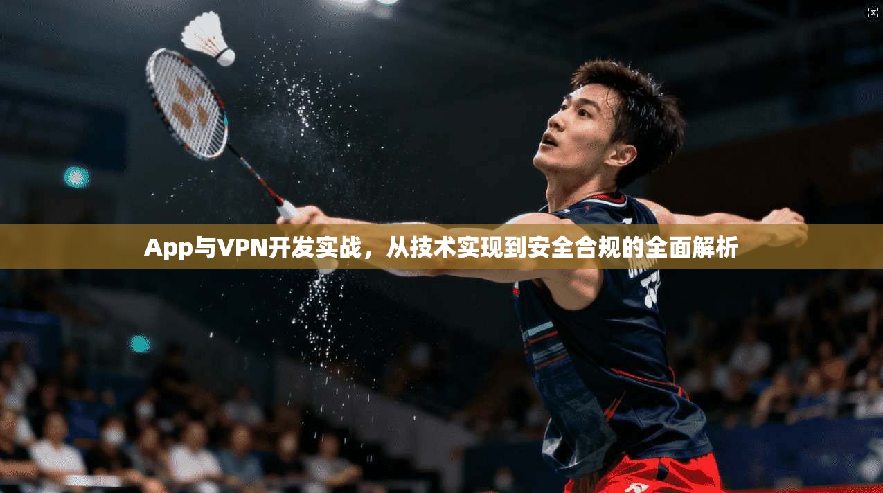 App与VPN开发实战，从技术实现到安全合规的全面解析
