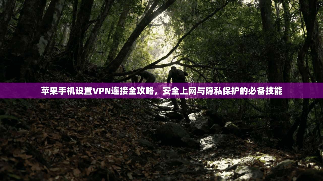 苹果手机设置VPN连接全攻略，安全上网与隐私保护的必备技能