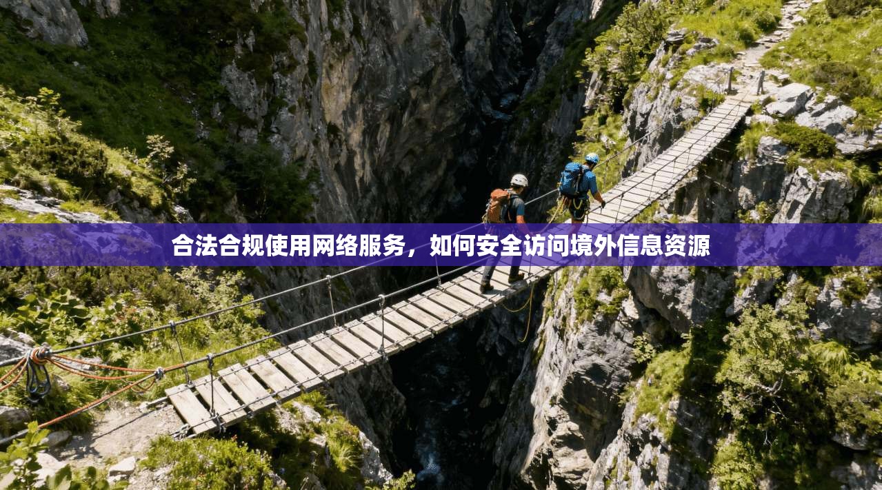 合法合规使用网络服务，如何安全访问境外信息资源