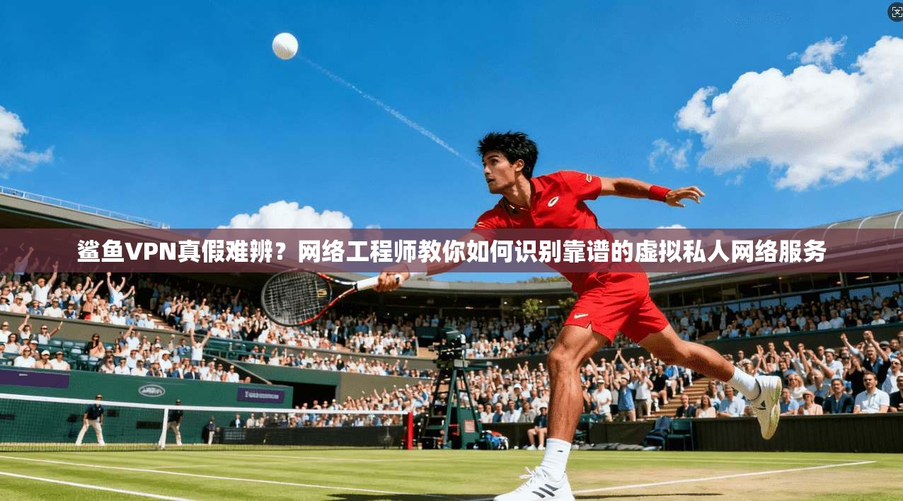 鲨鱼VPN真假难辨？网络工程师教你如何识别靠谱的虚拟私人网络服务