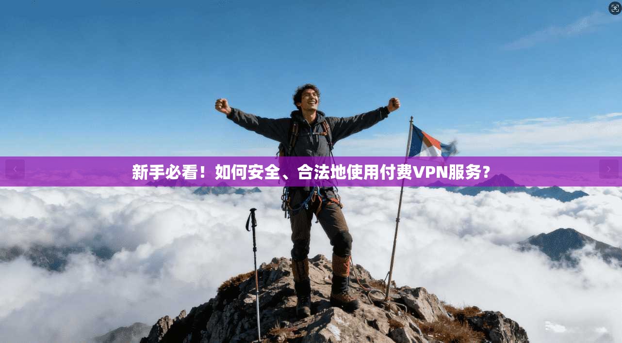 新手必看！如何安全、合法地使用付费VPN服务？