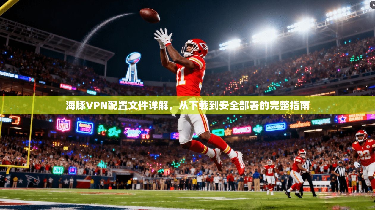 海豚VPN配置文件详解，从下载到安全部署的完整指南