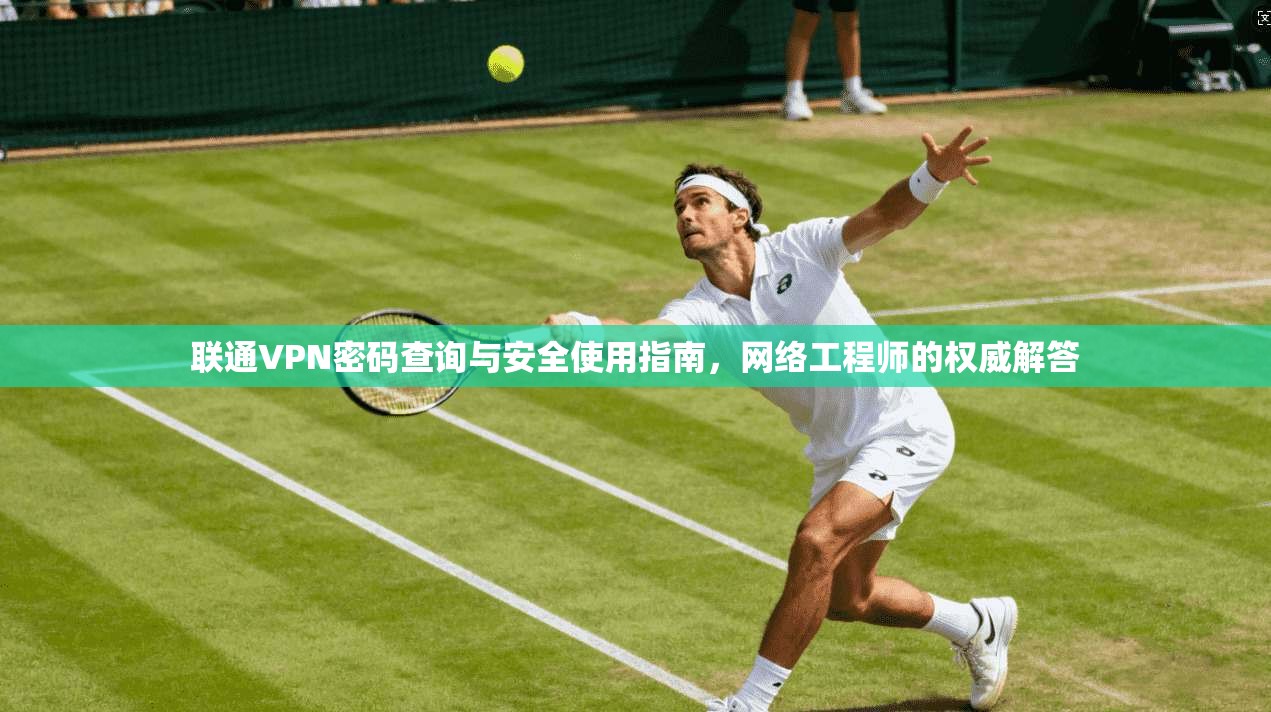 联通VPN密码查询与安全使用指南，网络工程师的权威解答