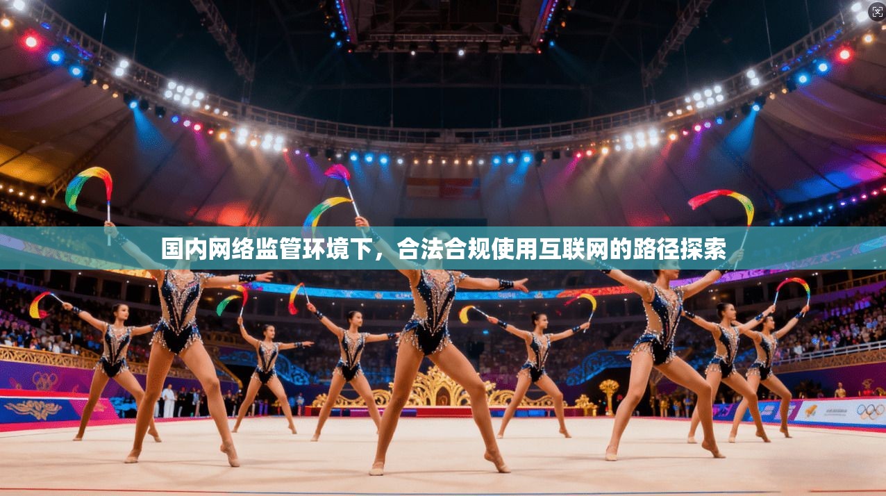 国内网络监管环境下，合法合规使用互联网的路径探索