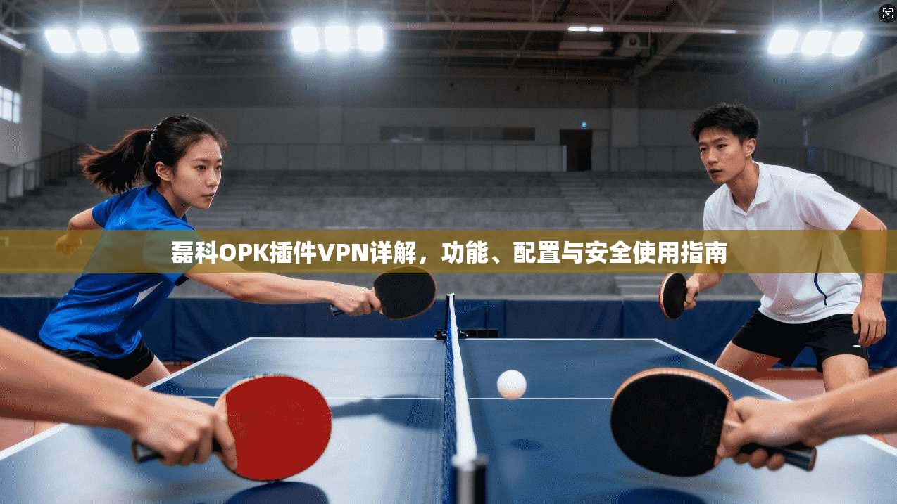 磊科OPK插件VPN详解，功能、配置与安全使用指南