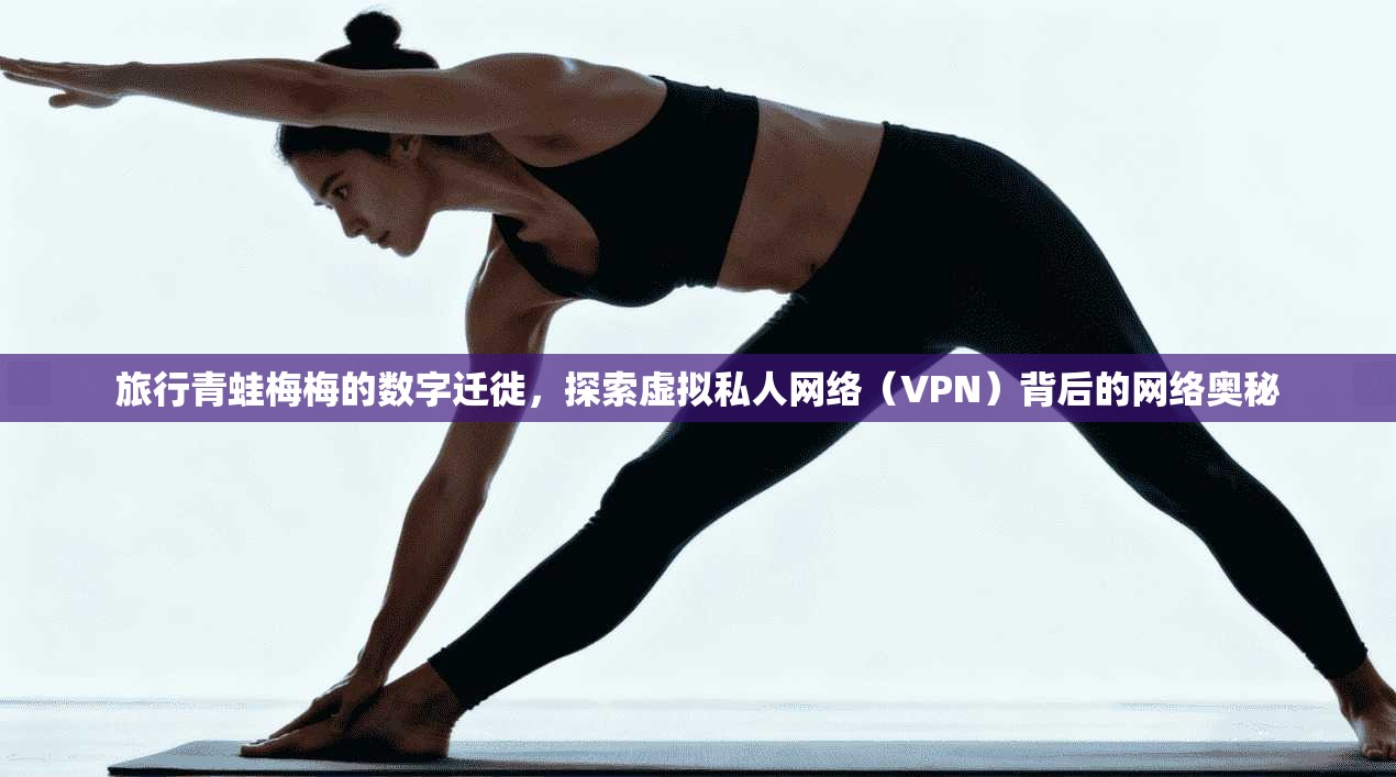 旅行青蛙梅梅的数字迁徙，探索虚拟私人网络（VPN）背后的网络奥秘