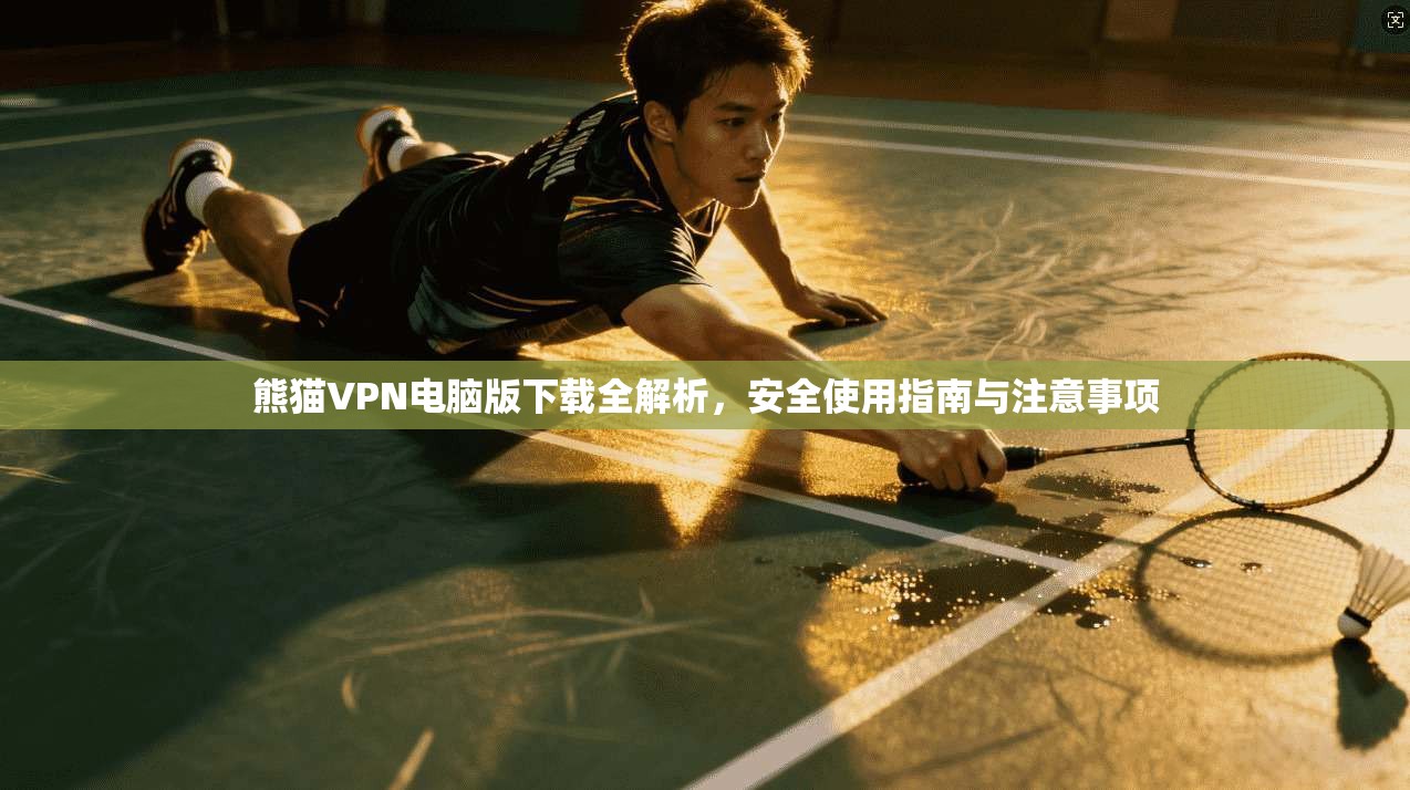 熊猫VPN电脑版下载全解析，安全使用指南与注意事项