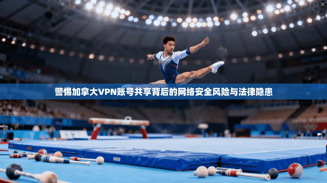 警惕加拿大VPN账号共享背后的网络安全风险与法律隐患