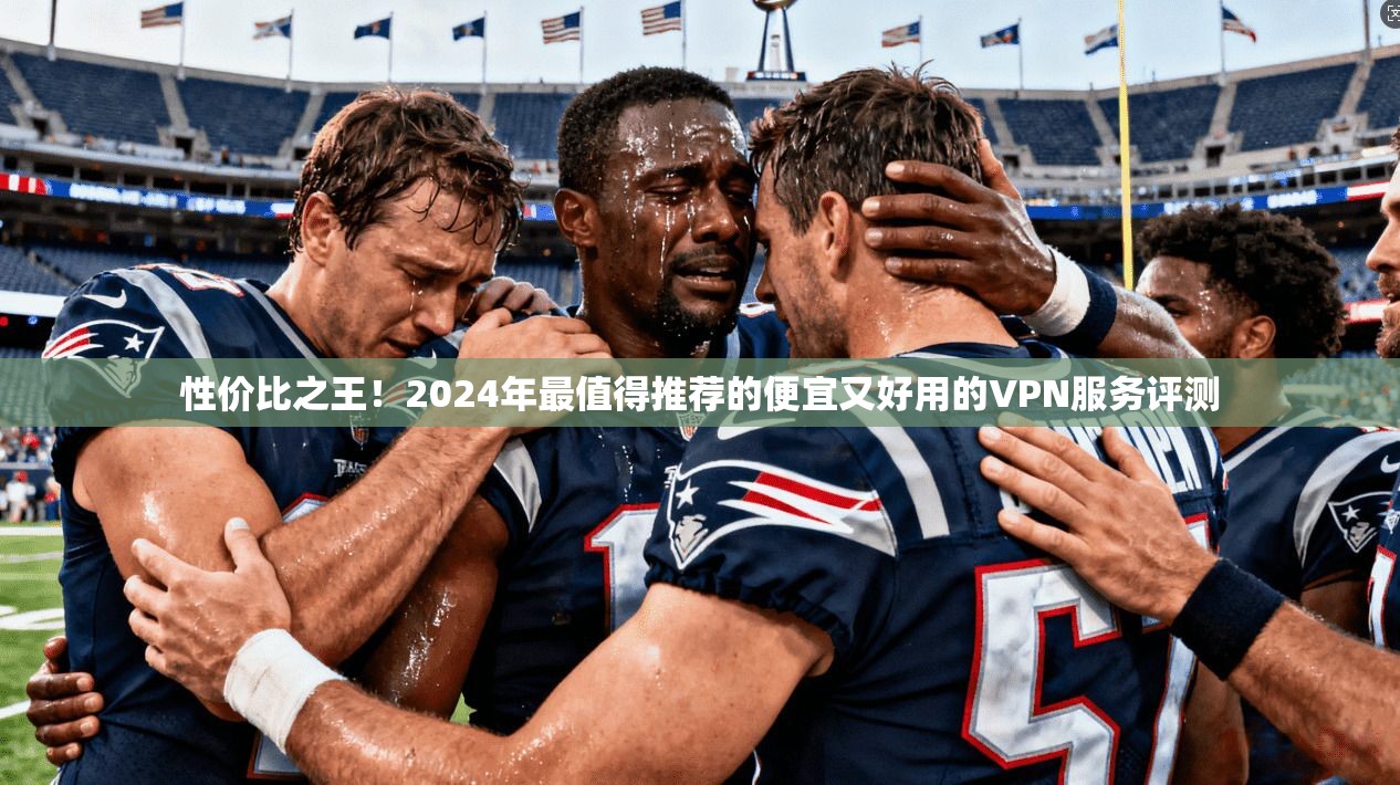 性价比之王！2024年最值得推荐的便宜又好用的VPN服务评测