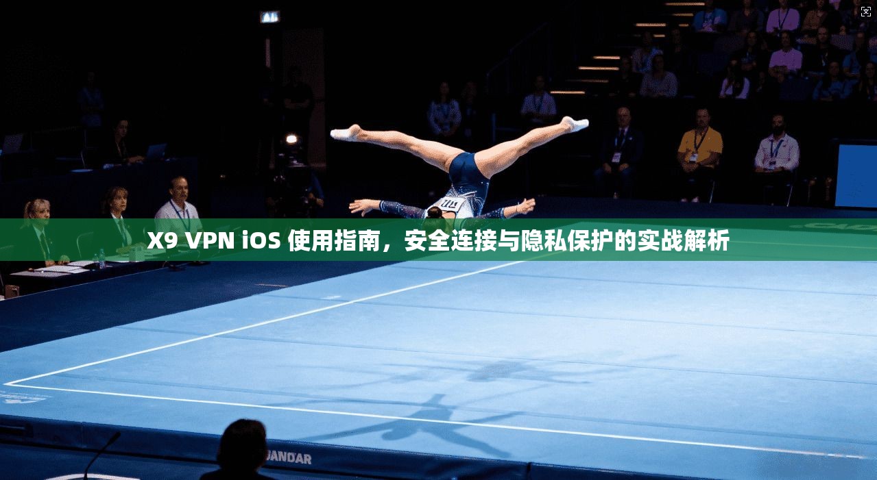 X9 VPN iOS 使用指南，安全连接与隐私保护的实战解析