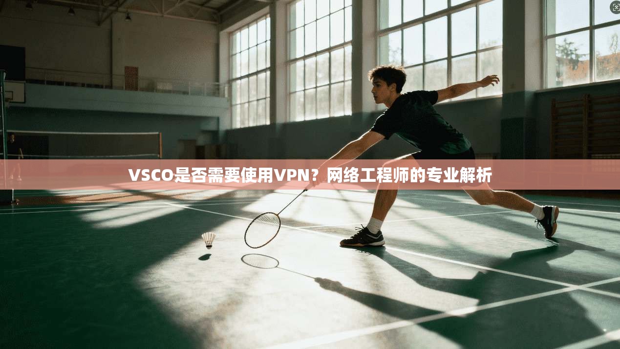 VSCO是否需要使用VPN？网络工程师的专业解析