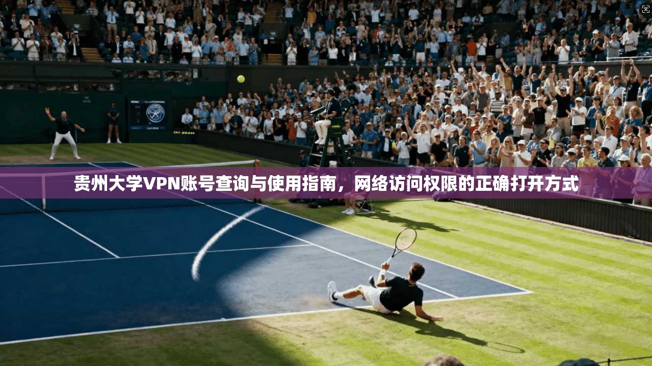 贵州大学VPN账号查询与使用指南，网络访问权限的正确打开方式