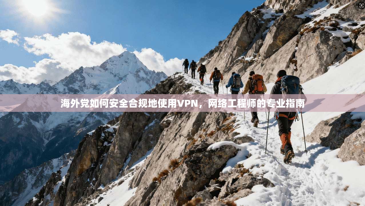 海外党如何安全合规地使用VPN，网络工程师的专业指南