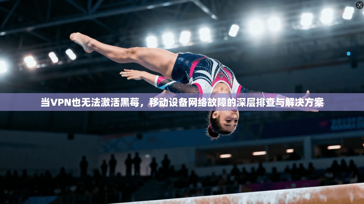 当VPN也无法激活黑莓，移动设备网络故障的深层排查与解决方案