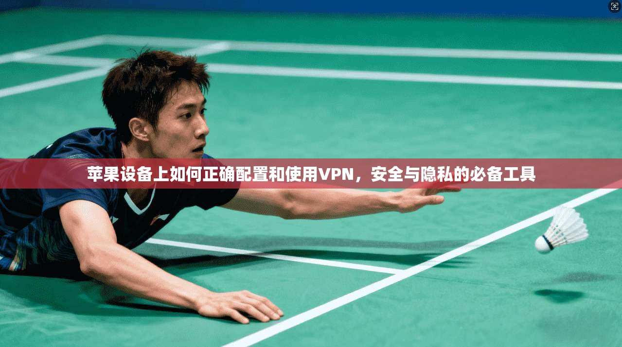苹果设备上如何正确配置和使用VPN，安全与隐私的必备工具