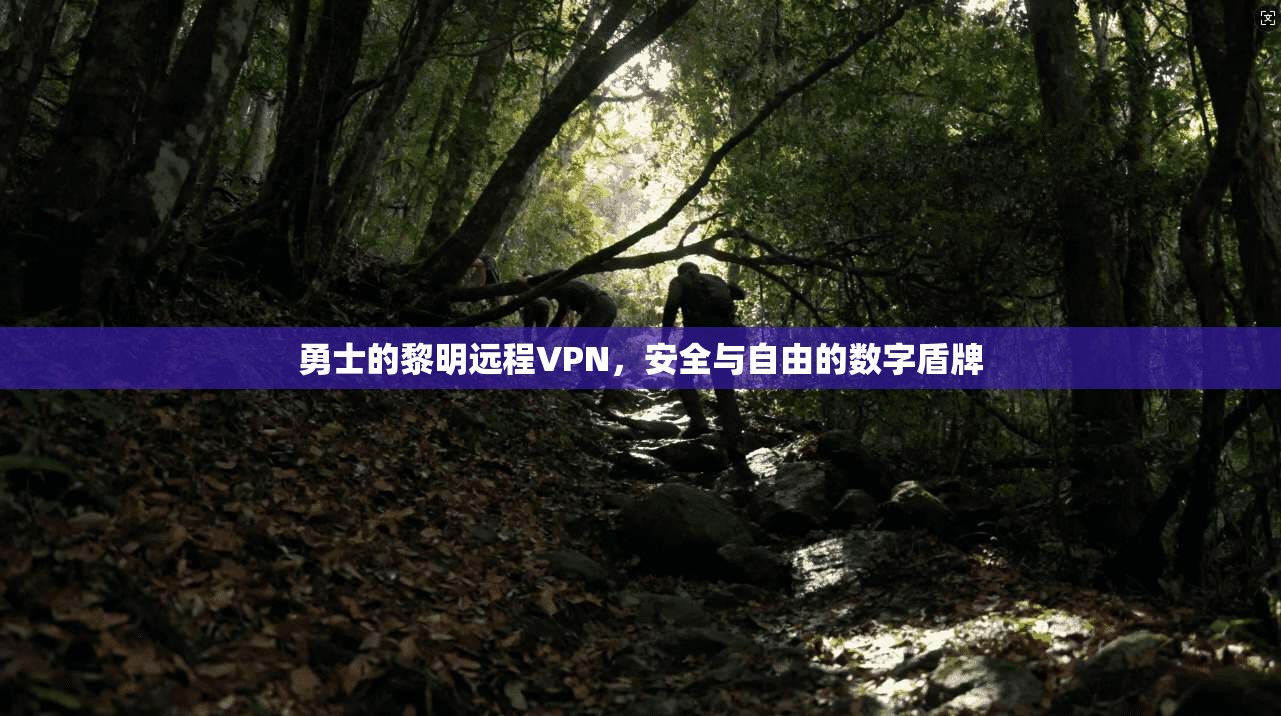 勇士的黎明远程VPN，安全与自由的数字盾牌