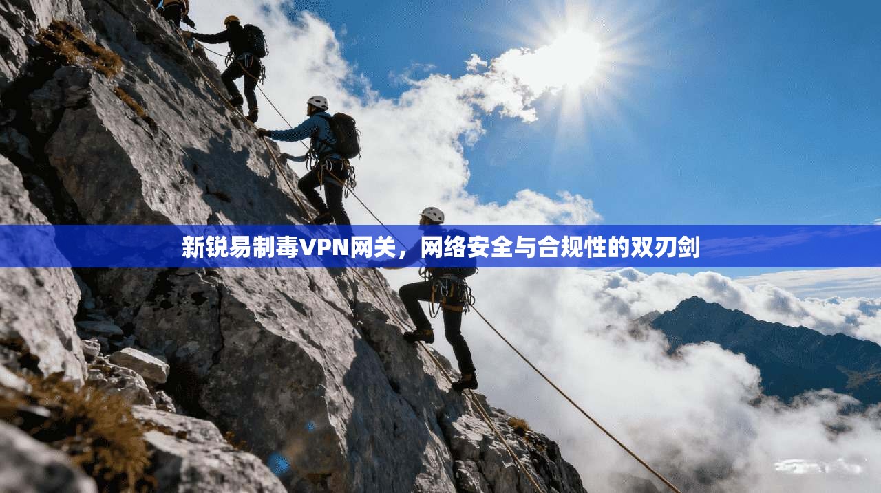新锐易制毒VPN网关，网络安全与合规性的双刃剑