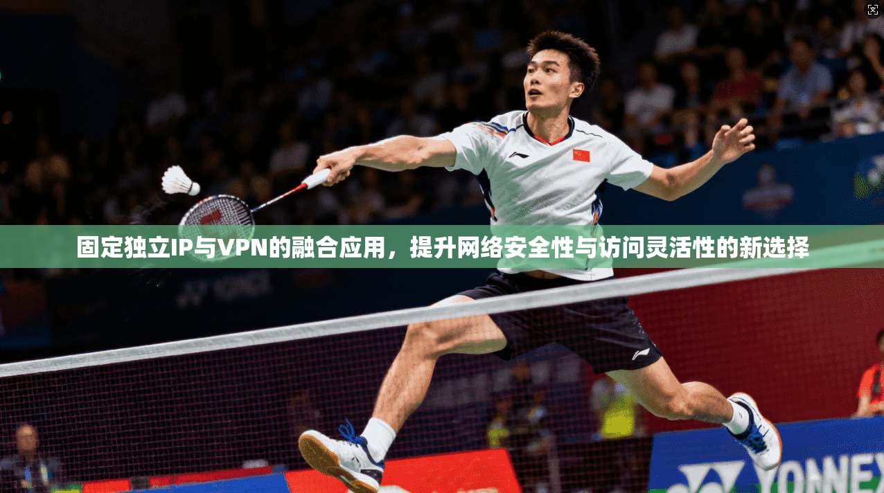 固定独立IP与VPN的融合应用，提升网络安全性与访问灵活性的新选择