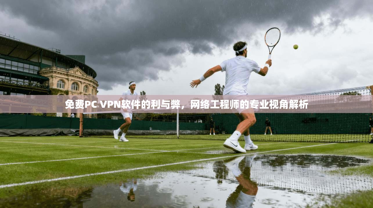 免费PC VPN软件的利与弊，网络工程师的专业视角解析