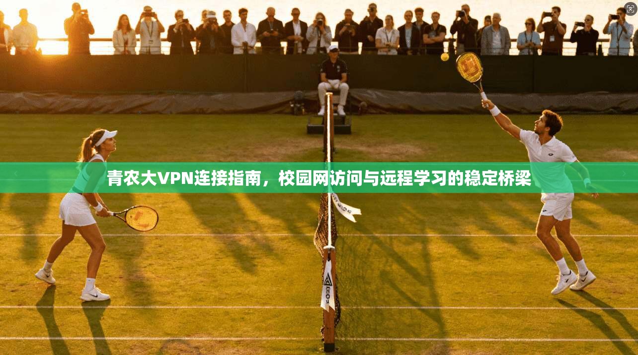 青农大VPN连接指南，校园网访问与远程学习的稳定桥梁